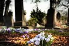 Obnova hřbitova přinesla překvapení. Pod nánosem brečťanu byla nalezena urna židovského amerického vojáka