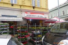 Velký problém prodejny potravin ve Slaném! Obslužný úsek dočasně uzavřela inspekce
